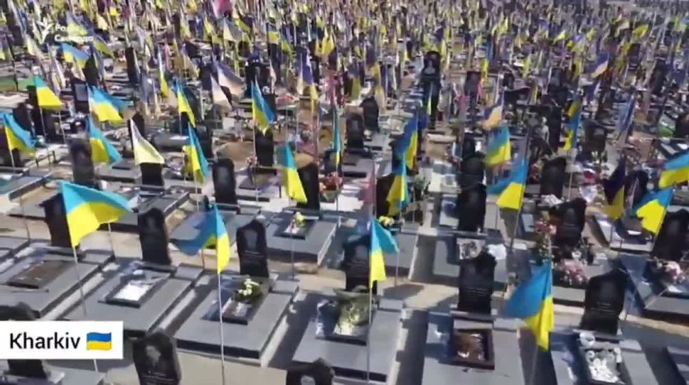 Вот так выглядят кладбища в Харькове, Киеве и других городах Украины