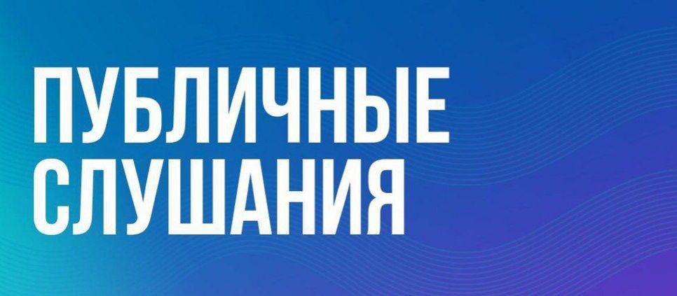 В Бердянске состоялись публичные слушания по проекту изменений в Устав городского округа