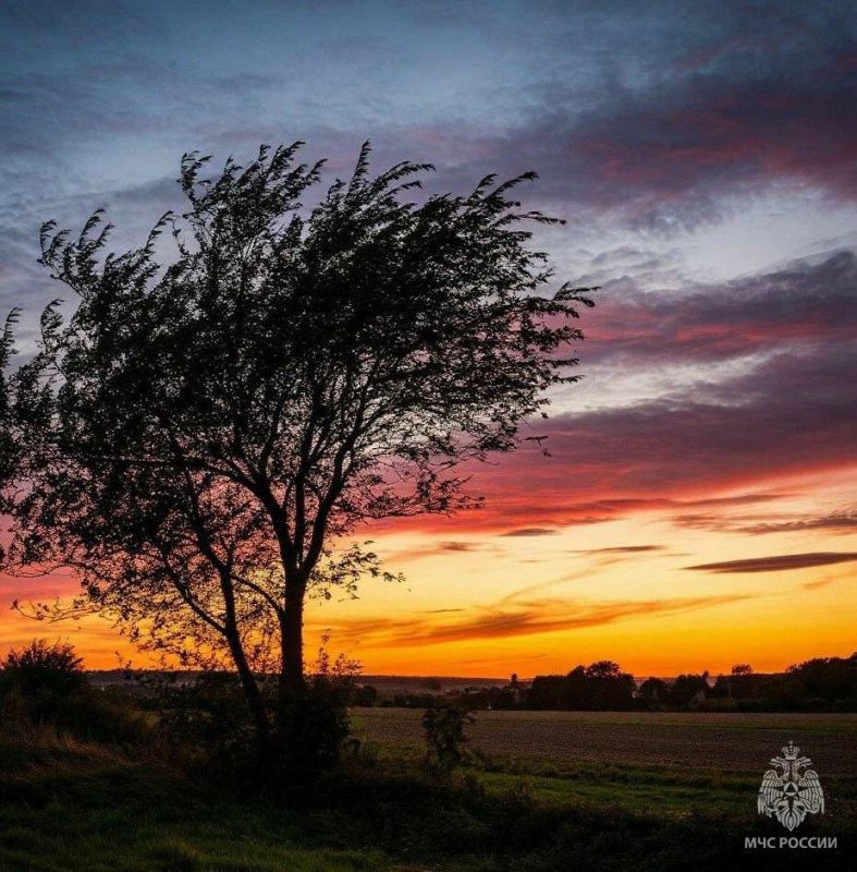 Дорогие штурманы Военно-воздушных сил России! Дорогие штурманы Военно-воздушных сил России!