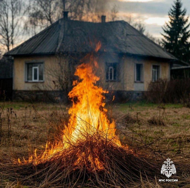 За нарушение правил при сжигании сухой травы и мусора в Запорожской области вынесено 9 предупреждений