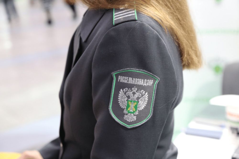 Сотрудники Россельхознадзора провели рейд на блокпосту «Приазовский»