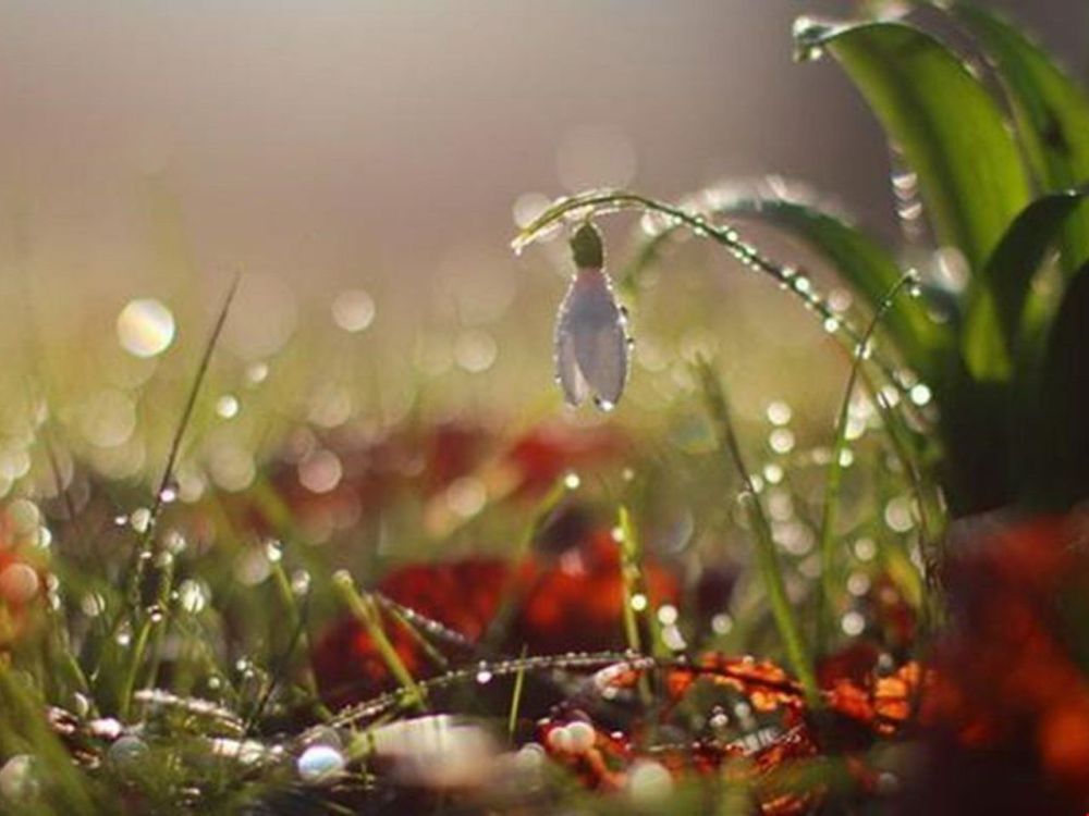 Доброе утро. А вы знали, что сегодня