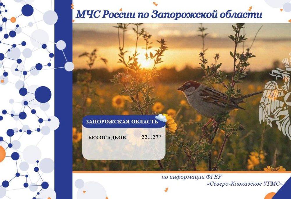 Прогноз по Запорожской области на 24 мая