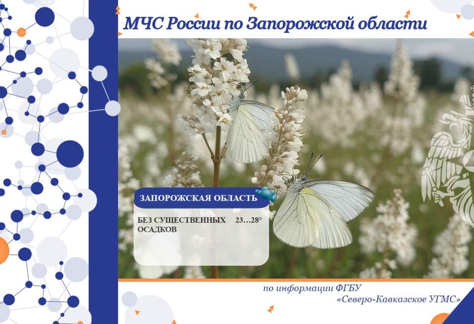С 02 на 03 июля на территории региона ожидается:
