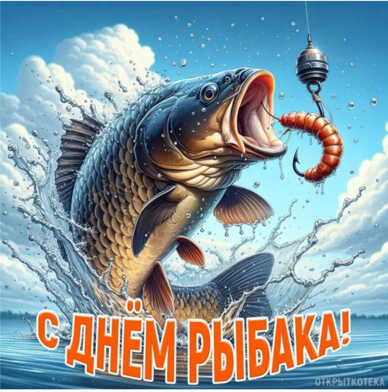   ,  !