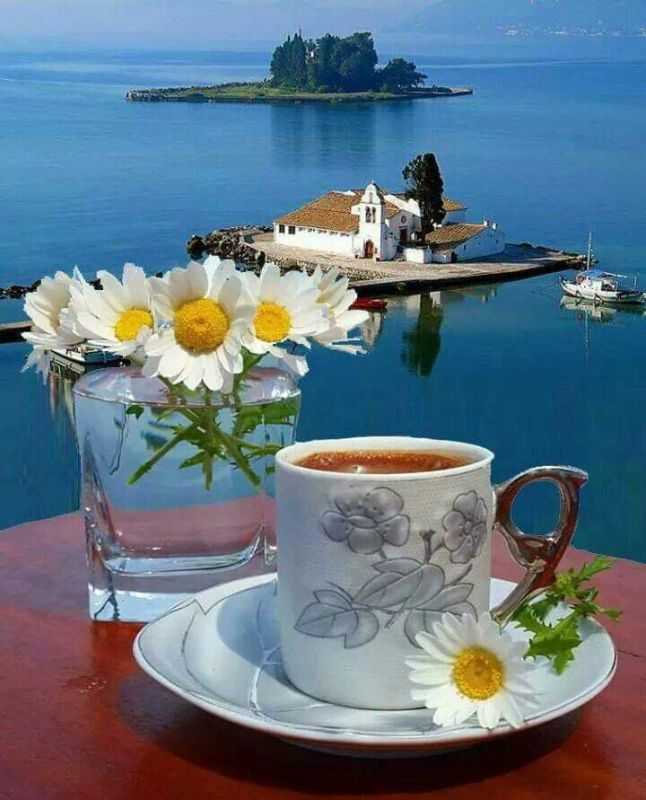 Доброе утро. А вы знали, что сегодня