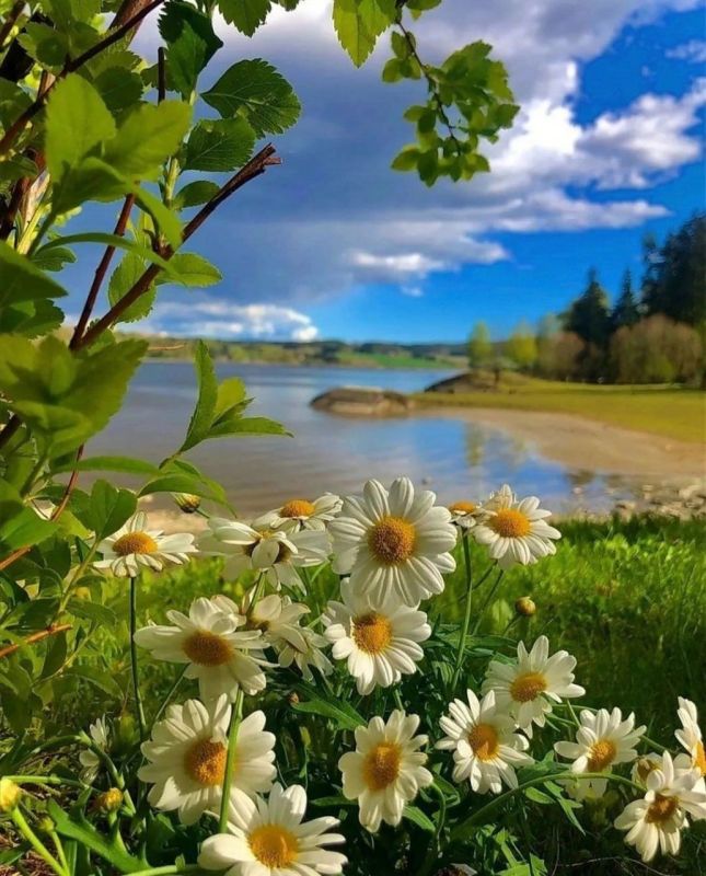 Доброе утро. А вы знали, что сегодня