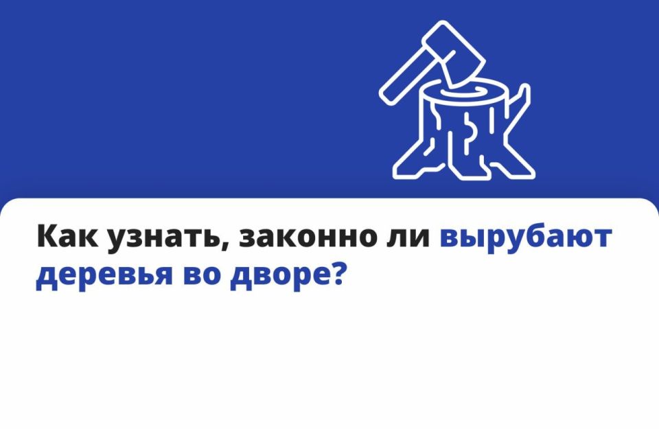 Все растения на территории многоквартирного дома считаются общедомовым имуществом