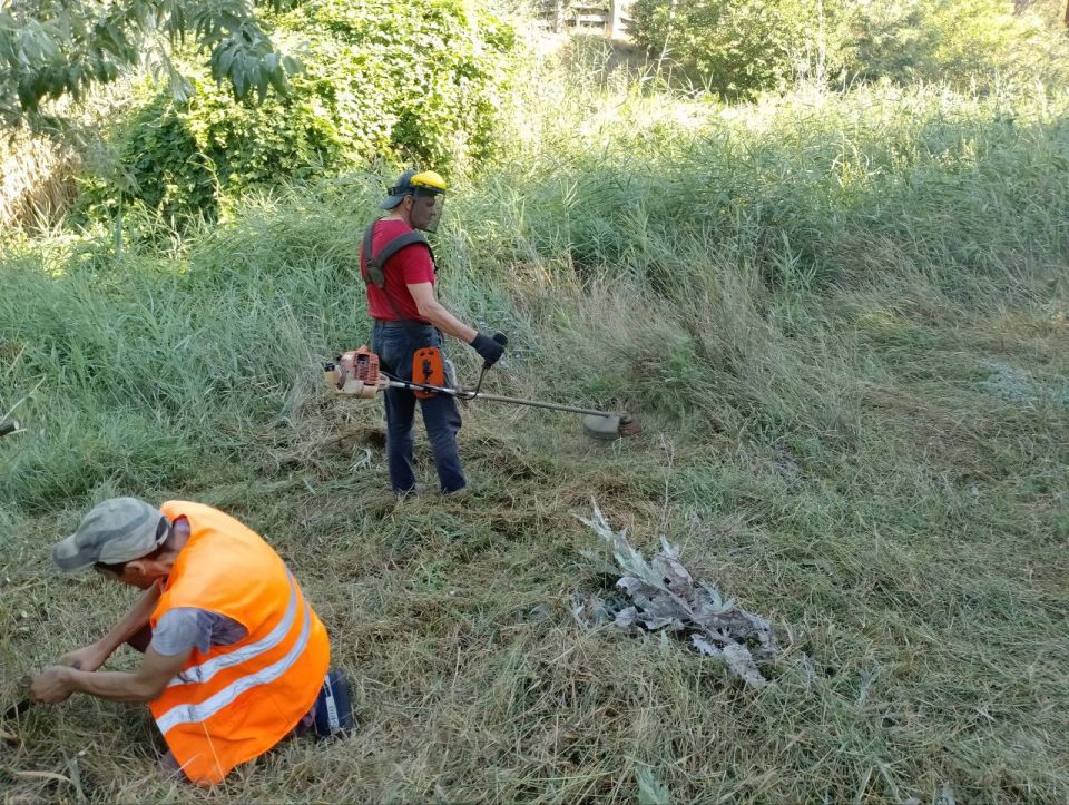 ���������� ��� ����������������. �������� ���������� ������� �����