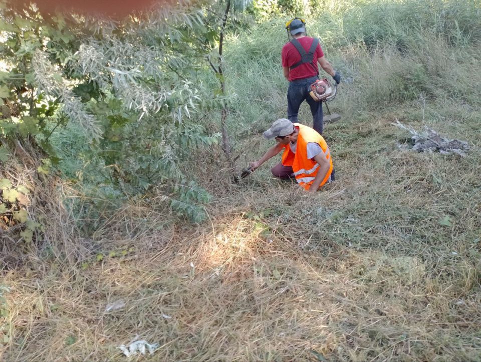 ���������� ��� ����������������. �������� ���������� ������� �����