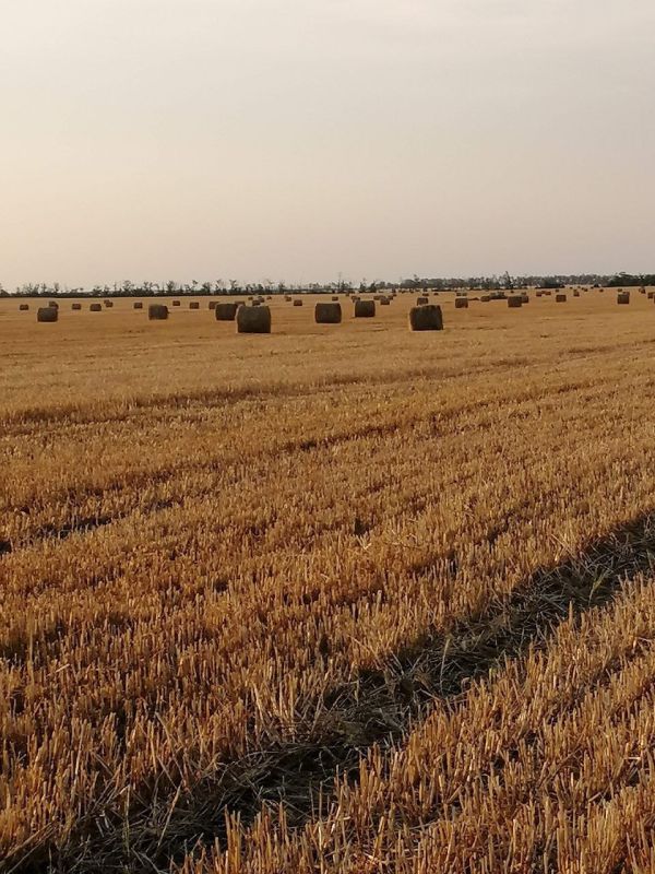 � ����� ����������� �������������� ������ ����� ������