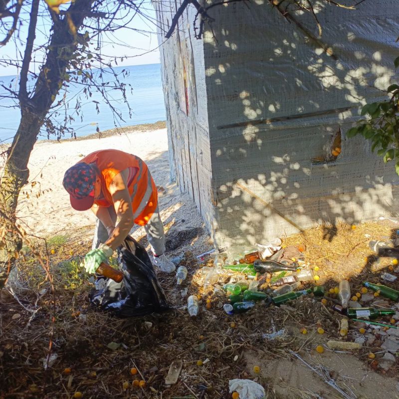 ���������� ��� ����������������. �������� ������ ����� �� ��������