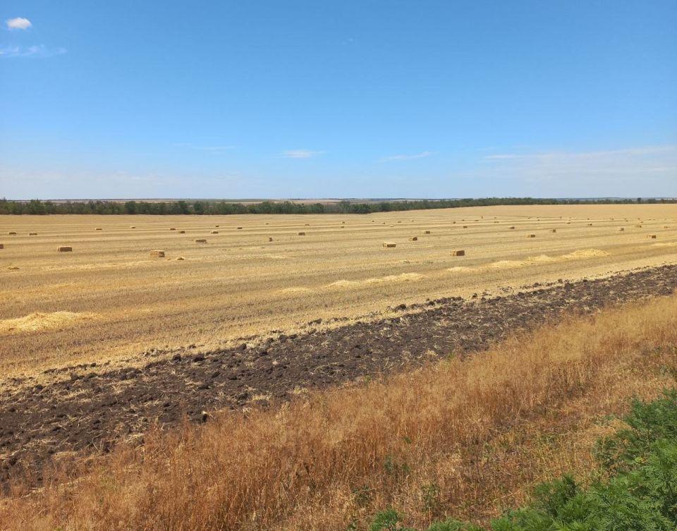 � ����� ����������� �������������� ������ ����� ������