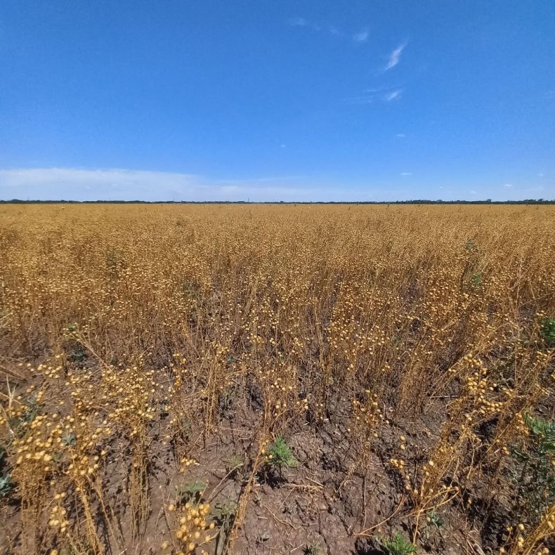 � ���������� ������������� ������ ���������� ������ ����