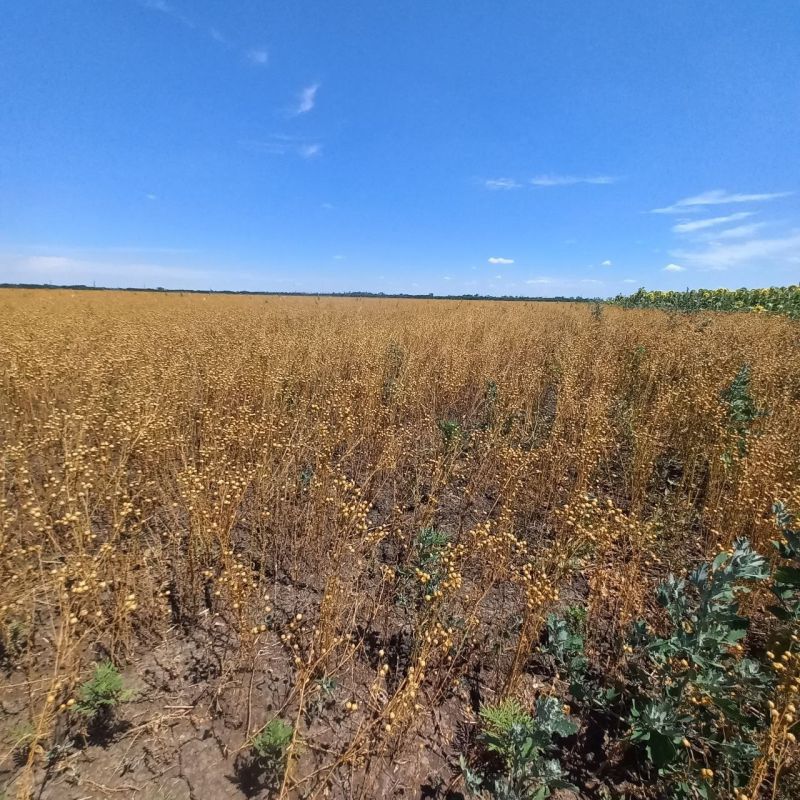 � ���������� ������������� ������ ���������� ������ ����