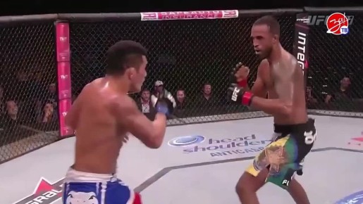  UFC    -     