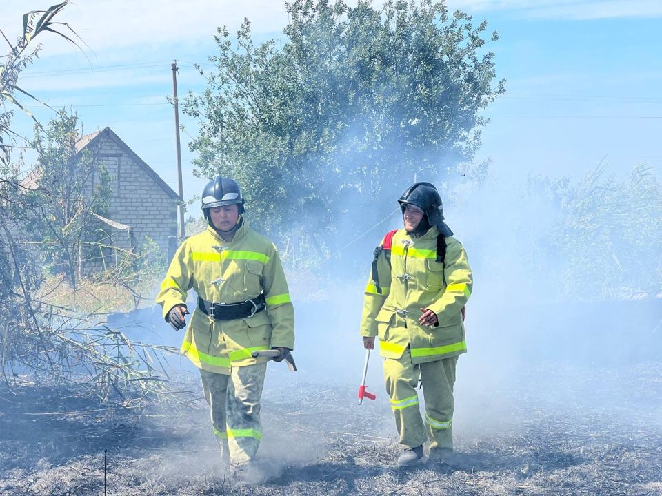 ����������� ������������ � ���������� �� ���� �������� � ������ � �����