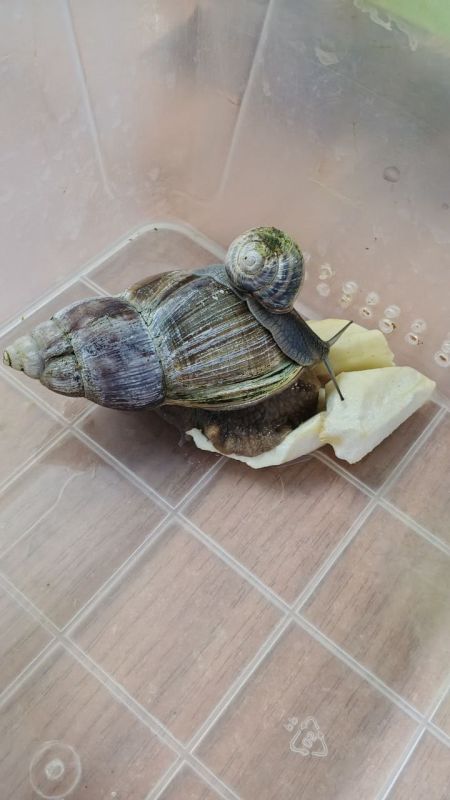 � �������� "����" ���������� ��������� ��� ����� 100 ����� �� �������� ��������� ���������