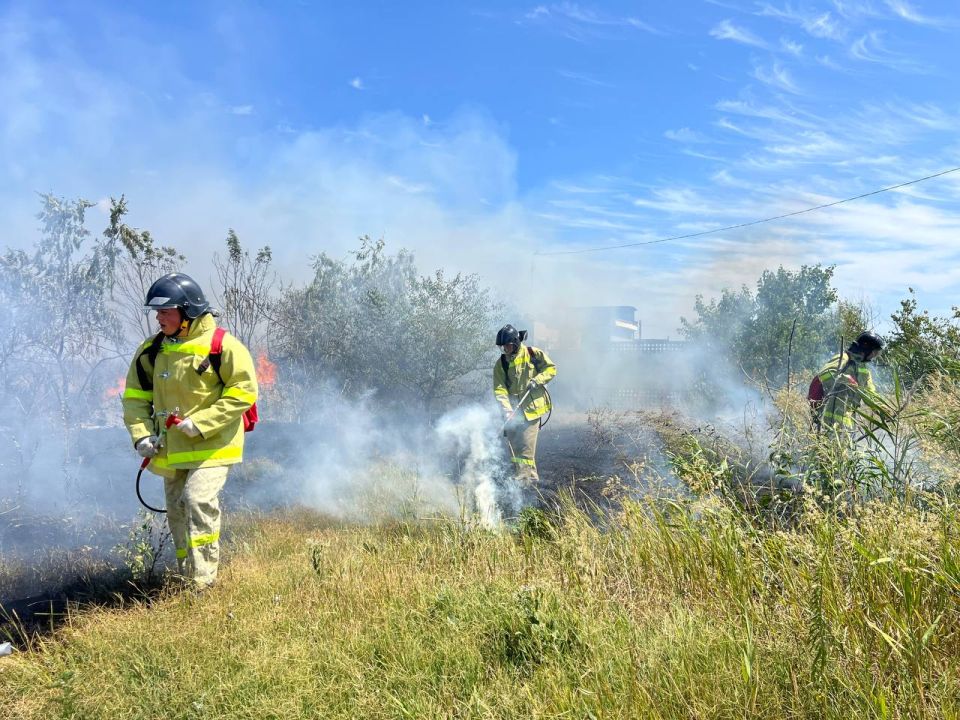 ����������� ������������ � ���������� �� ���� �������� � ������ � �����