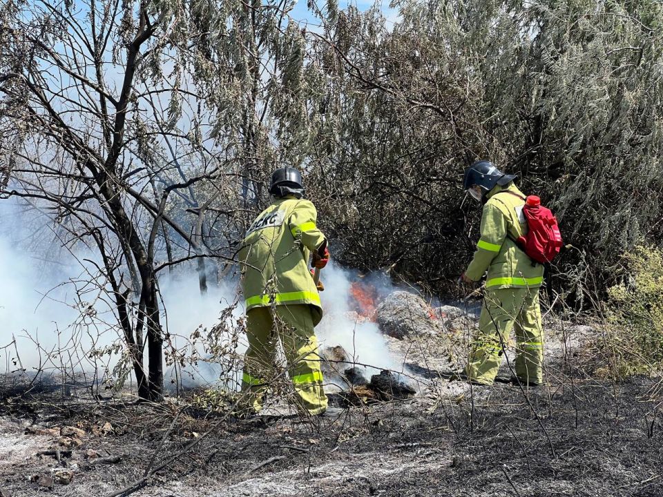 ����������� ������������ � ���������� �� ���� �������� � ������ � �����