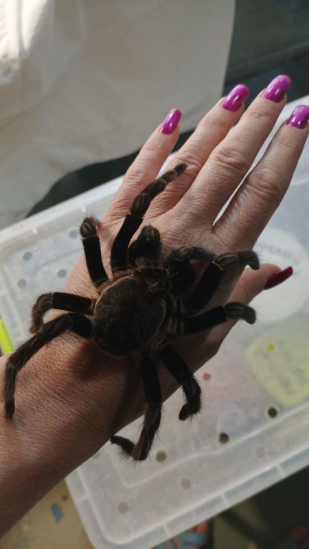 � �������� "����" ���������� ��������� ��� ����� 100 ����� �� �������� ��������� ���������