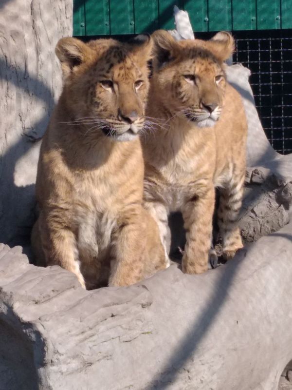 ��������! ����� ���� ������! ������� � �. ���������� ����������� �������, ��� ��������� �� ���, ��������� � ����� ���������! �� ���������� ������ � ��� ����� �������, ����� ��� �������� 70 ��������� �����, ���������...