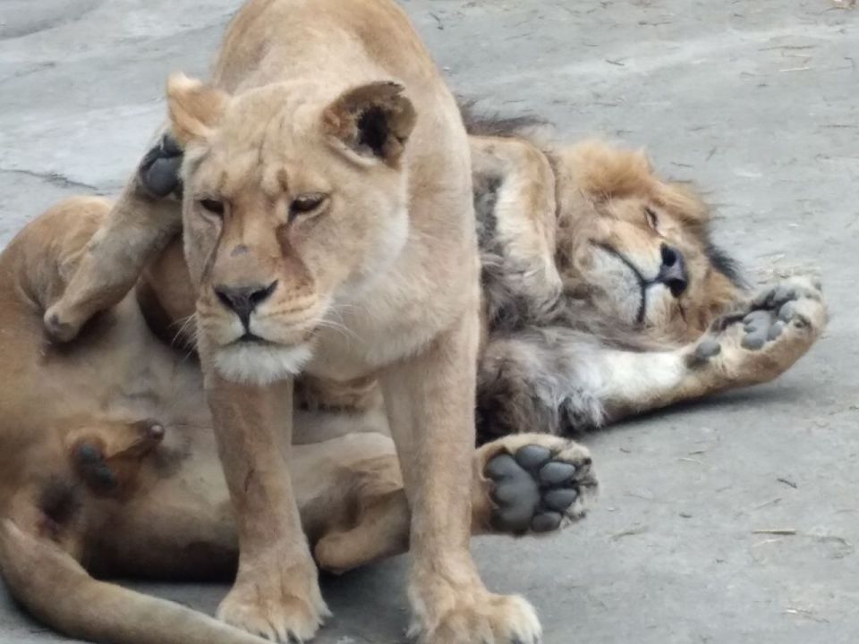 ��������! ����� ���� ������! ������� � �. ���������� ����������� �������, ��� ��������� �� ���, ��������� � ����� ���������! �� ���������� ������ � ��� ����� �������, ����� ��� �������� 70 ��������� �����, ���������...