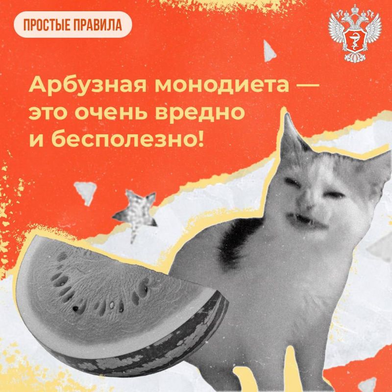 #��������������: ��� ������ �������� �����