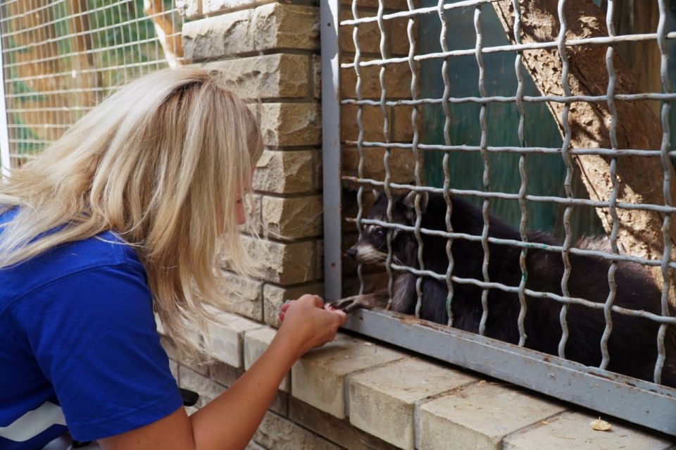 ������� ������� ������������ ������������� ���� ������