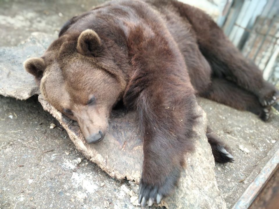 ��������! ����� ���� ������! ������� � �. ���������� ����������� �������, ��� ��������� �� ���, ��������� � ����� ���������! �� ���������� ������ � ��� ����� �������, ����� ��� �������� 70 ��������� �����, ���������...