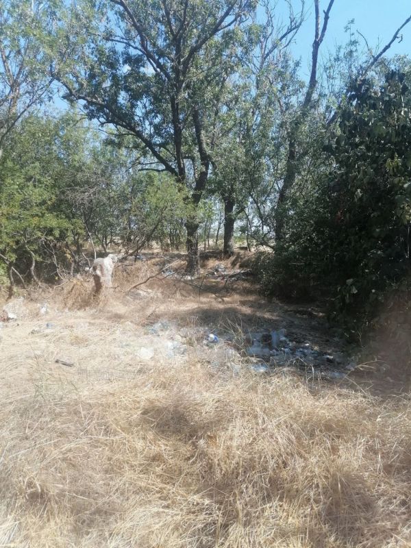 ��������� ���� � ���������� ������ ������� ��������� ���������������� ������