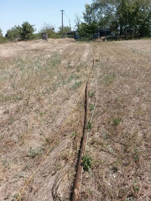 ��������� �������� ������������� �������� ������������