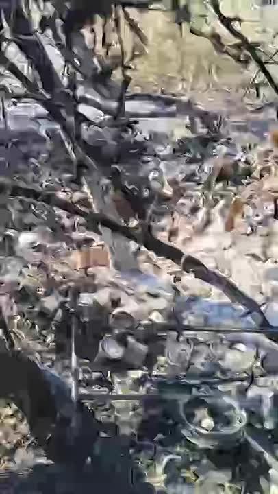  :   .       