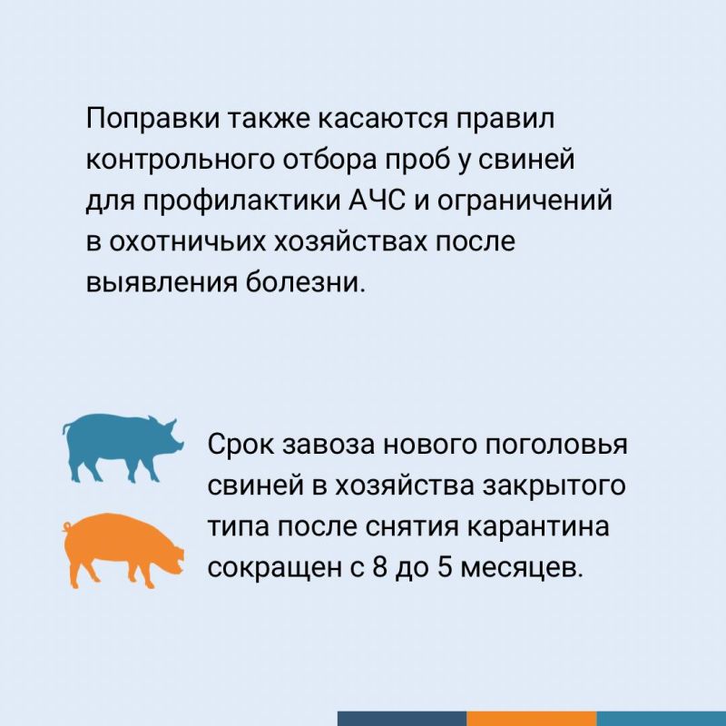 ������������ ������� � ���������� ������, ������� �������� � ���� � 1 �������� 2025 ����