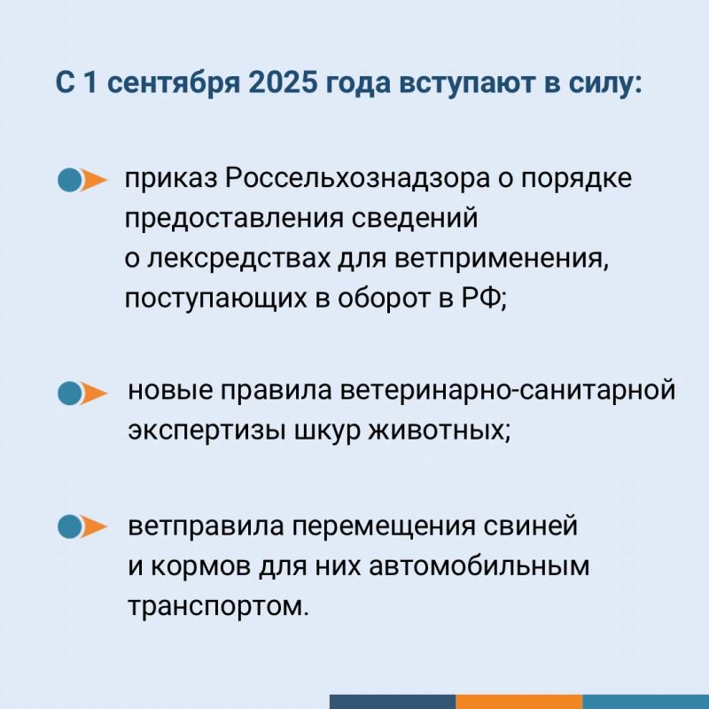 ������������ ������� � ���������� ������, ������� �������� � ���� � 1 �������� 2025 ����