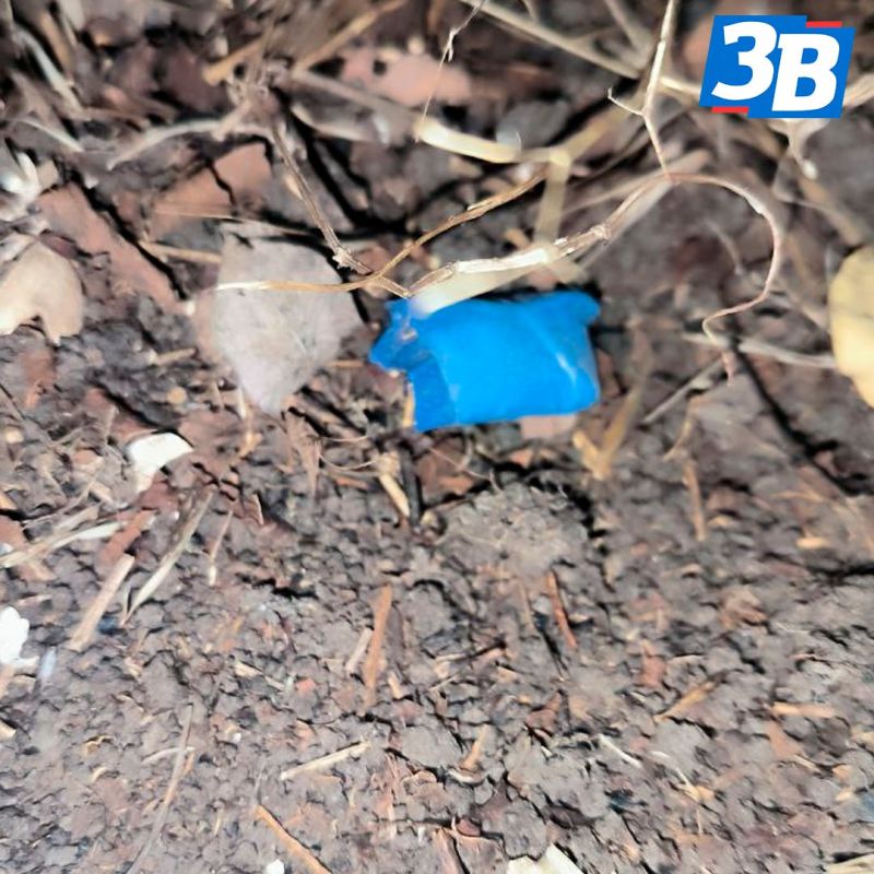 ���������� ������ �� �������� �� �������� ���������� ������� �������� �� �������