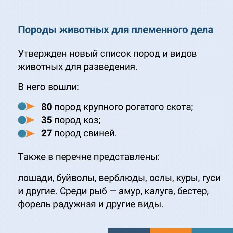 ������������ ������� � ���������� ������, ������� �������� � ���� � 1 �������� 2025 ����