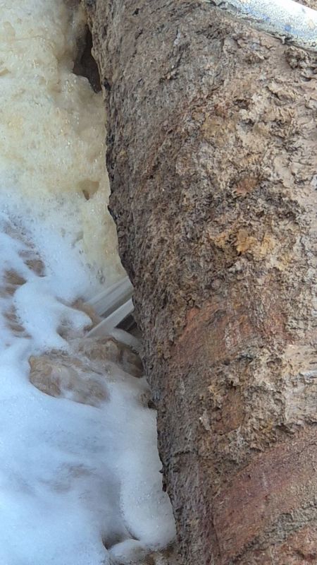 ������ ���� � �������� ������������ �� ����� ���� 4 ��������