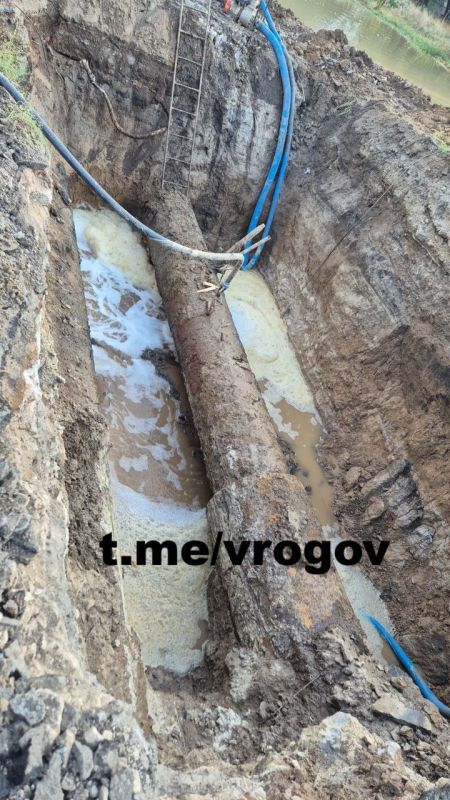 �������� �����: ����� ������������ ������ ����?