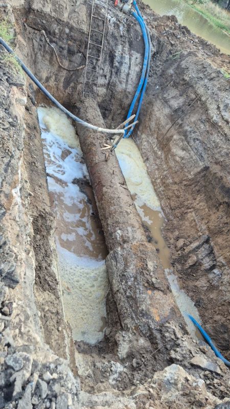 ������ ���� � �������� ������������ �� ����� ���� 4 ��������