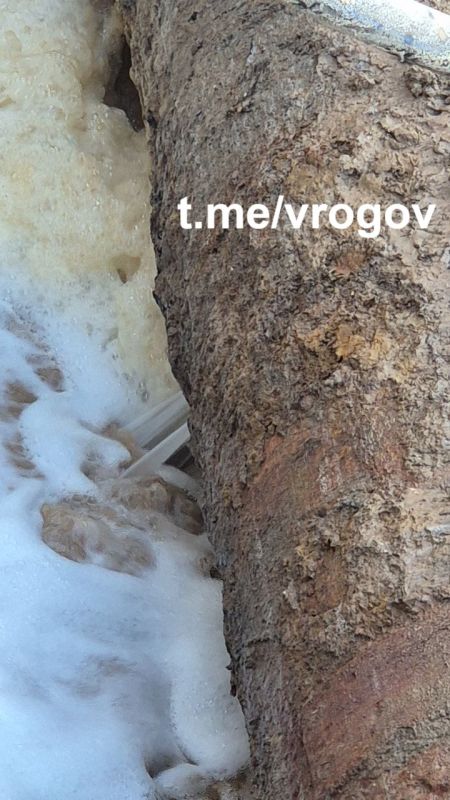 �������� �����: ����� ������������ ������ ����?