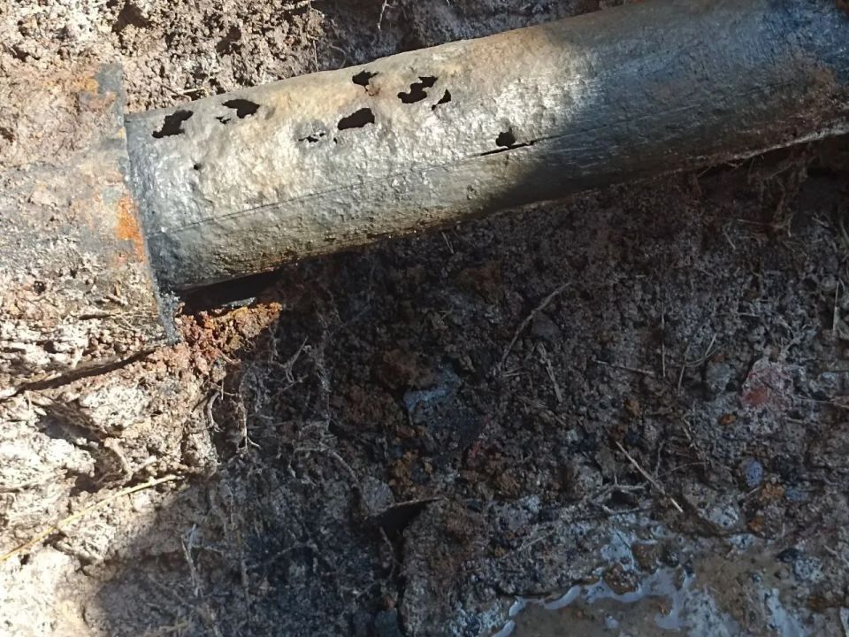 �������� ����� �� ����������� � ���� ����������