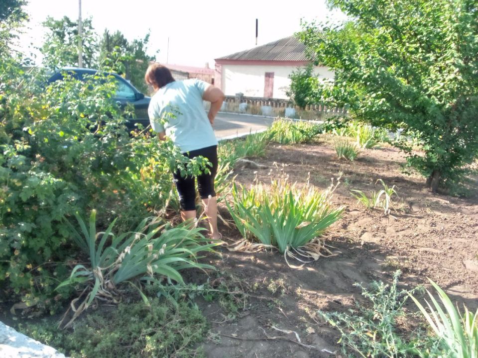 � ���� ������������ ���������� ����� �� ��������������� � ����� �� ���������� ���������