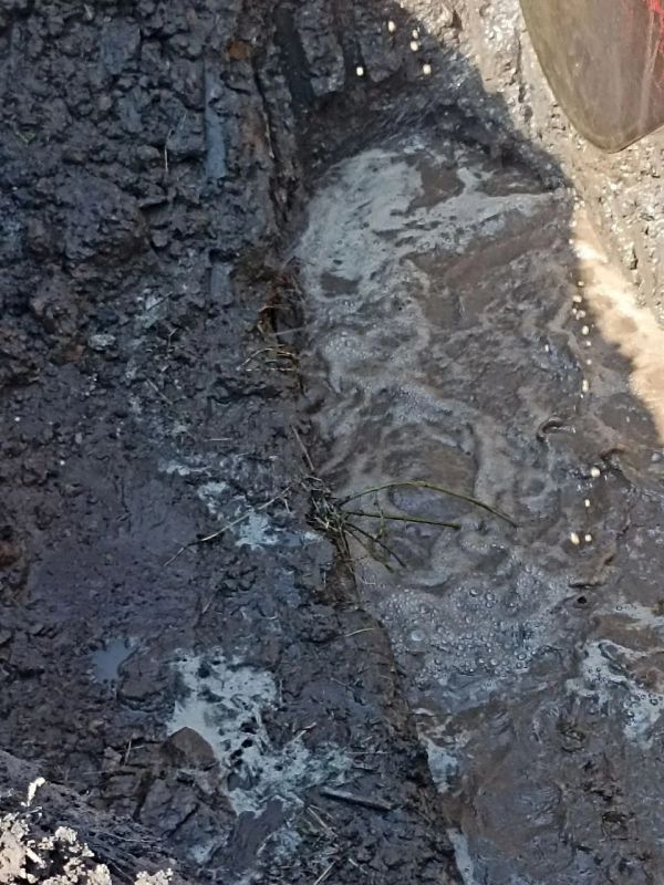 �������� ����� �� ����������� � ���� ����������