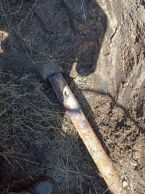 �������� ����� �� ����������� � ���� ����������