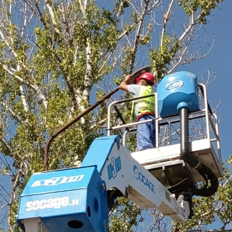 �������������� �������� ��������� � ��� ���������