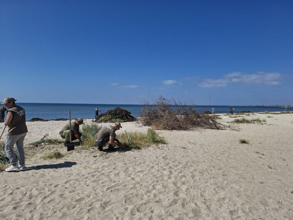 �������� ������������� � ��� ������ � ������ ��������