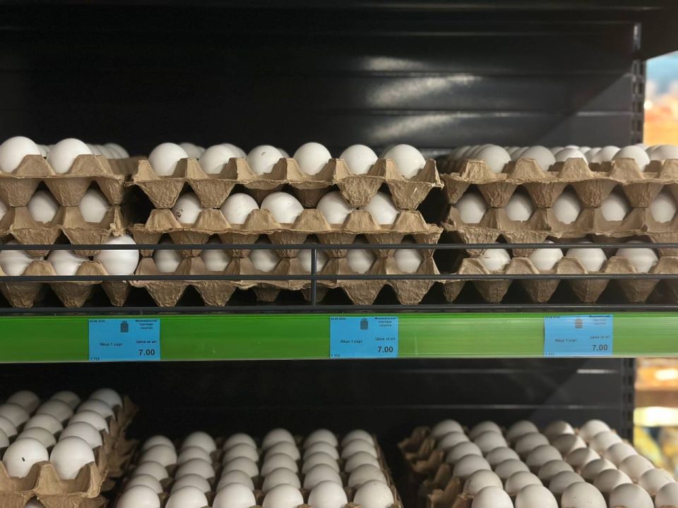 ���������� ��� � �������� ����� ����������� ������� ������������