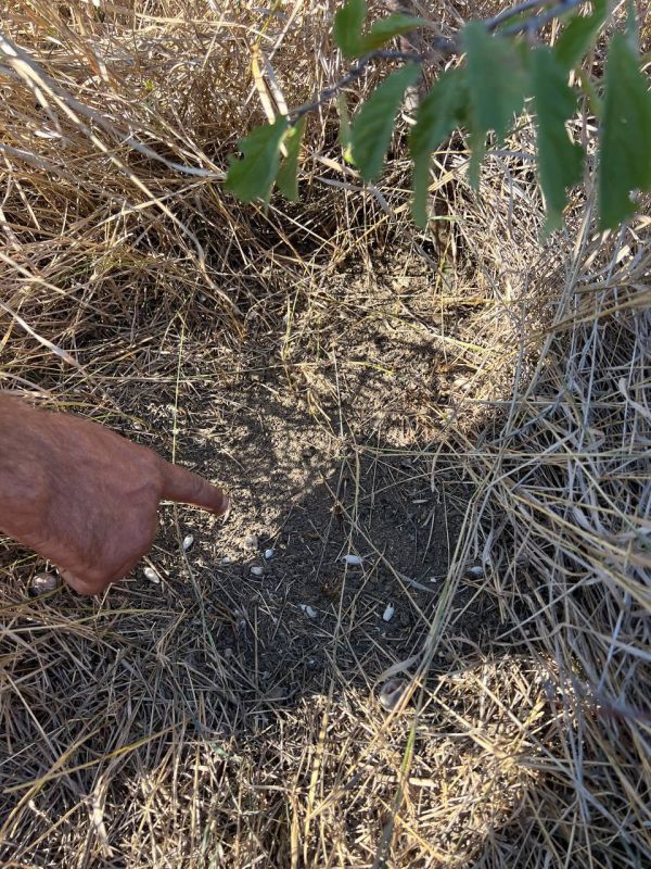 ���������� ������� ��������� ��������� ������� �� ���������� � ������������ ������������� �������