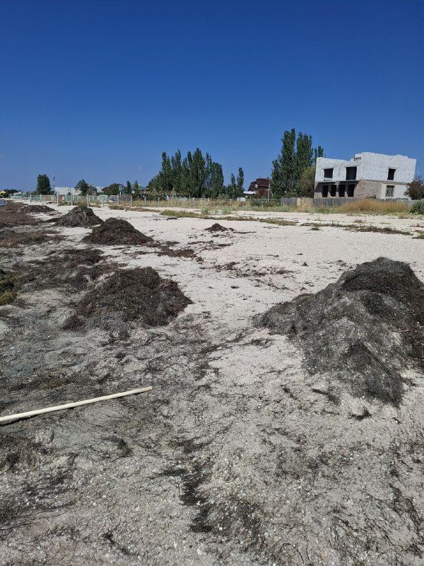 �������� ������������� � ��� ������ � ������ ��������